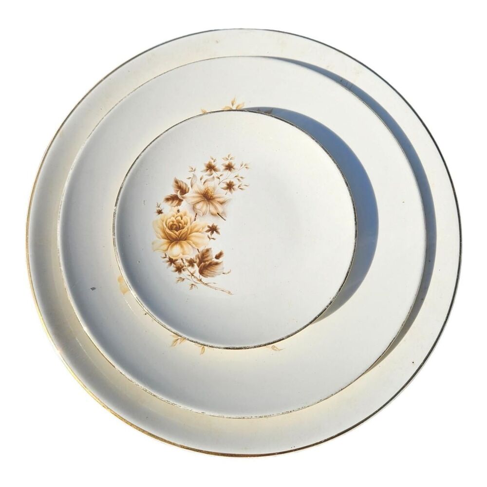 Vintage Victoria Serving Platter and plate set by TAYLOR SMITH and Taylor (TS&T)